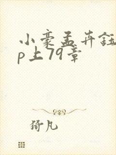 小豪孟卉钰慧三p上79章