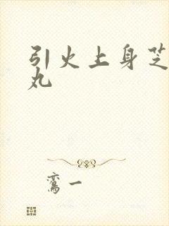 引火上身芝麻糖丸