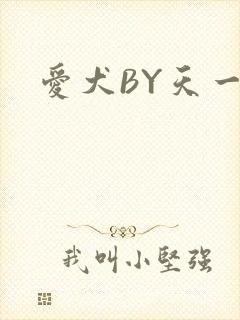 爱犬BY天一