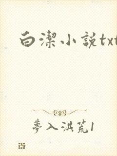 白洁小说txt