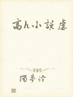 高h小说虐