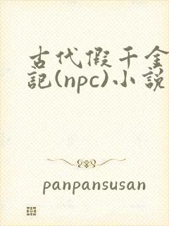 古代假千金挨日记(npc)小说