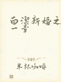 白洁新婚之夜第一章