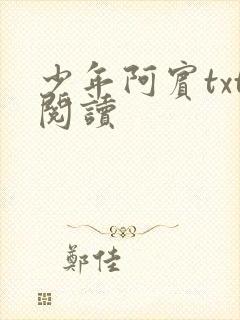 少年阿宾txt阅读