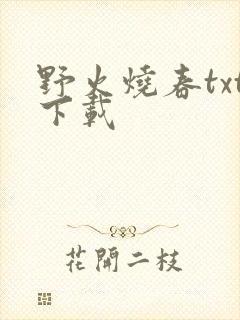 野火烧春txt下载