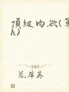 顶级肉欲(军高h)