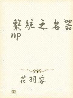 系统之名器攻略np