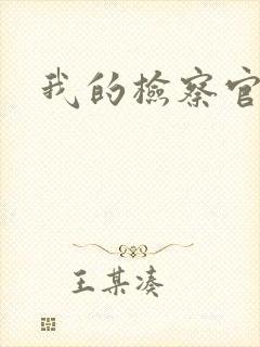 我的检察官先生