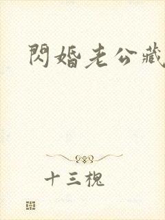 闪婚老公藏不住