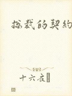 总裁的契约情人