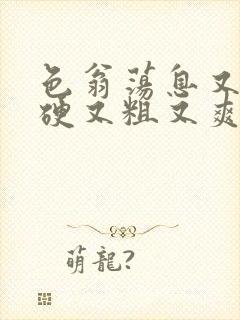 色翁荡息又大又硬又粗又爽