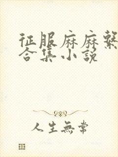 征服麻麻系列大合集小说