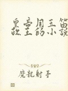 皇帝用玉笛整摄政王的小说