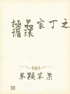 极品家丁之因果循环