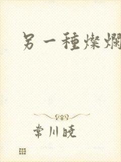 另一种灿烂生活