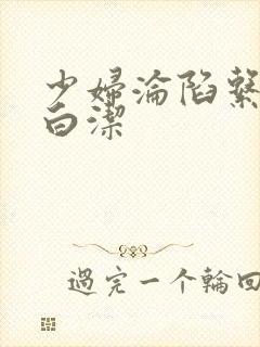 少妇沦陷系列之白洁