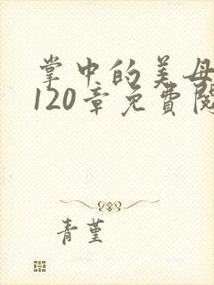 掌中的美母版主120章免费阅读