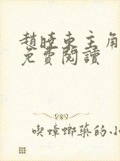 赵晓东主角小说免费阅读