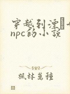 穿越到湮婸世界npc的小说