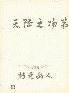 天降之物第一季