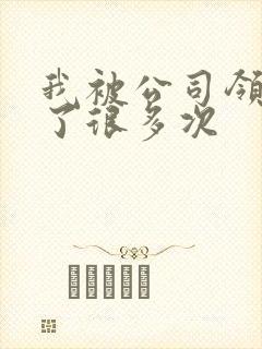 我被公司领导C了很多次