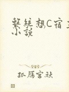 系统想C宿主的小说