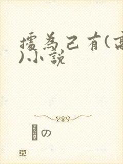 据为己有(高干)小说