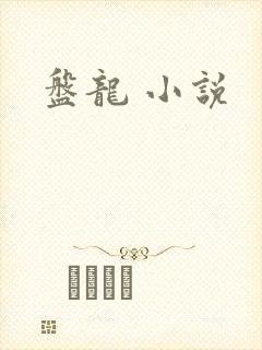 盘龙 小说