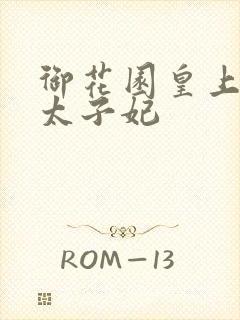 御花园皇上撞着太子妃