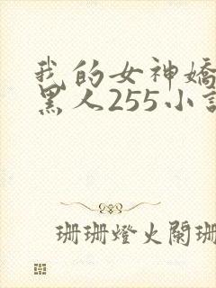 我的女神娇妻与黑人255小说