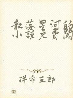 散落星河的记忆小说免费阅读全文