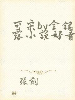 可宋by金银花露小说好看吗