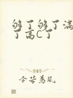 够了够了满到C了高C了