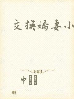 交换娇妻小说