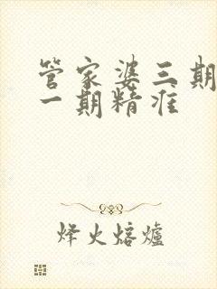 管家婆三期必开一期精准