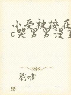 小受被按在墙上c哭男男漫画