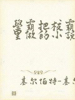 学霸把校霸往死里做的小说