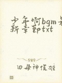 少年啊bgm最新章节txt