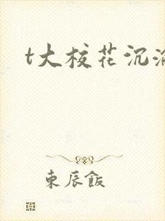 t大校花沉沦