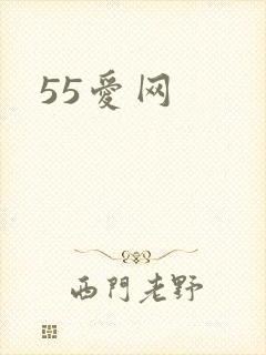 55爱网
