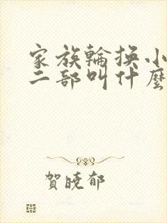 家族轮换小说第二部叫什么名字