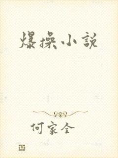 爆操小说