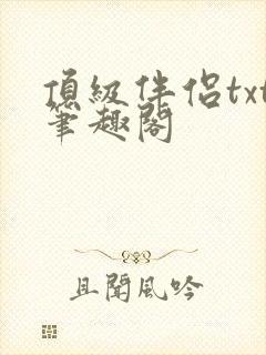 顶级伴侣txt笔趣阁