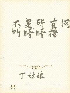 不是所有网站都叫暗暗撸