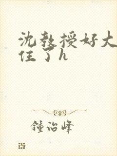 沈教授好大含不住了h