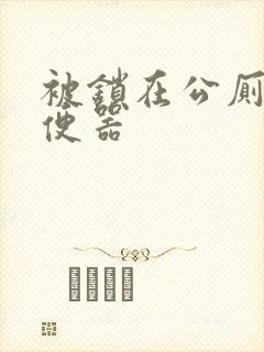 被锁在公厕当坐便器