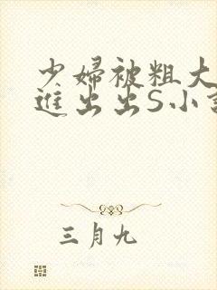 少妇被粗大猛进进出出S小说