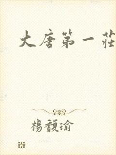 大唐第一庄