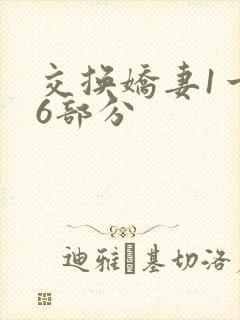 交换娇妻1一36部分