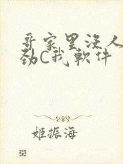 哥家里没人使点劲C我软件